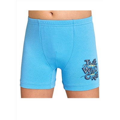 Трусы для мальчика Berrak