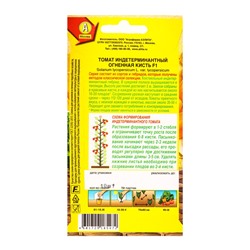Семена Томат «Огненная Кисть», F1, «Профи-Аэлита», 10 шт.