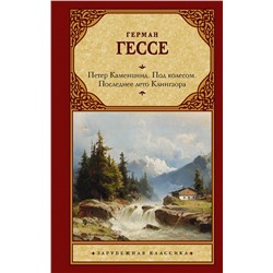 АСТ Герман Гессе "Петер Каменцинд. Под колесом. Последнее лето Клингзора. Душа ребенка. Клейн и Вагнер"