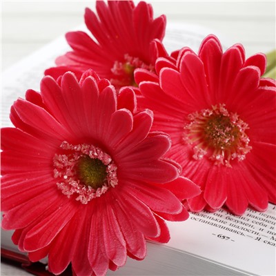 Цветок искусственный Гербера 43 см малиновый АКЦИЯ / 1501 /уп 56/560/ латэкс