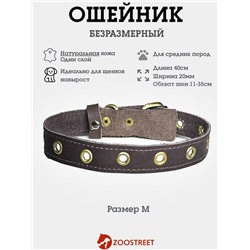 Ошейник безразмерный, 40×2 см, с подпряжником, кожа, коричневый
