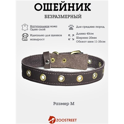 Ошейник безразмерный, 40×2 см, с подпряжником, кожа, коричневый