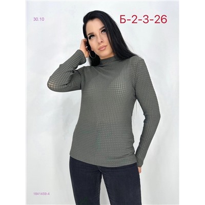 Водолазка 1841459-4