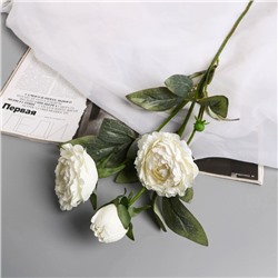 Цветы искусственные «Пион Эльза», h=64 см, d=10 см, белые