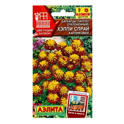 Семена цветов Бархатцы Хэппи спрай карликовые  С. Floranova Цветущий балкон, Ц/П,7 шт.