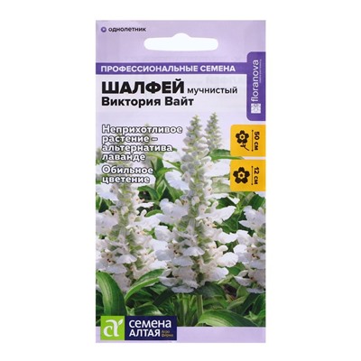 Семена Шалфей "Виктория Вайт", ц/п,  10 шт.