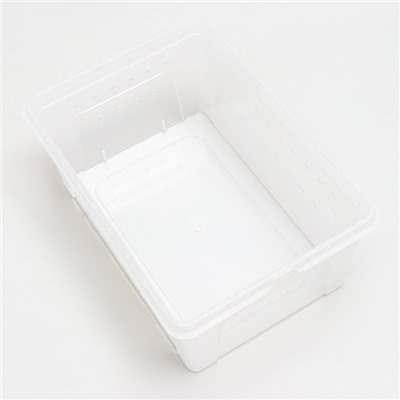 Переноска - отсадник для рептилий, 26×17.5×11.5 см, прозрачная