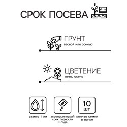 Семена цветов Дельфиниум высокий Мэджик Фонтэйнс Скай Блю Вайт Би, 10шт