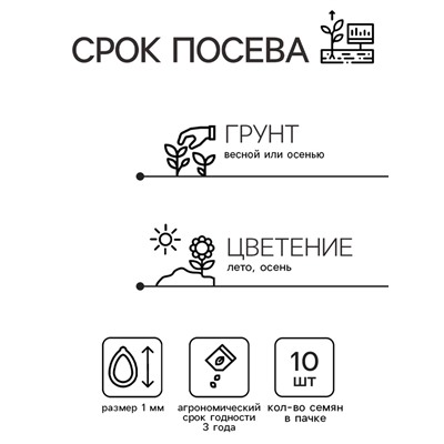 Семена цветов Дельфиниум высокий Мэджик Фонтэйнс Скай Блю Вайт Би, 10шт
