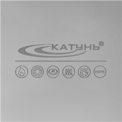 Котёл Катунь «Общепит», 30 л, d=40 см, h=26 см, капсульное дно, индукция, нержавеющая сталь