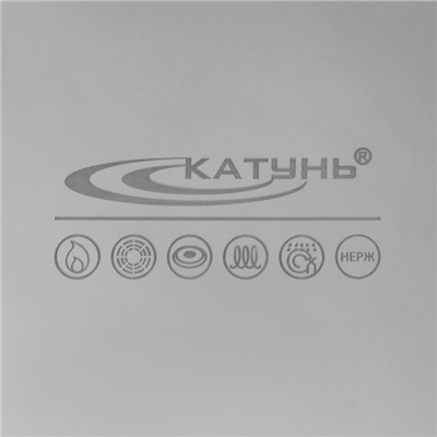 Котёл Катунь «Общепит», 30 л, d=40 см, h=26 см, капсульное дно, индукция, нержавеющая сталь