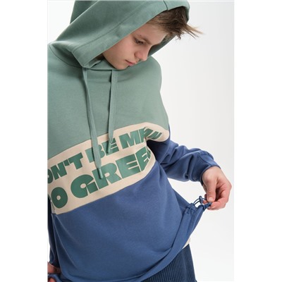 Худи PELICAN, 1213113