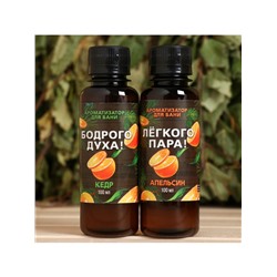 Новогодний набор ароматизаторов «Сочного Нового Года», в подарочной коробке, апельсин, кедр, 2 шт. по 100 мл