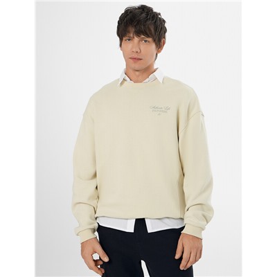 СВИТШОТ МУЖСКОЙ 121893