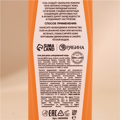 Гель для душа, 250 мл, аромат латте-мандарин, URAL LAB