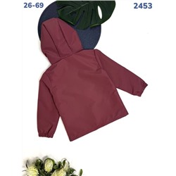 Ветровка 2453 бордовый