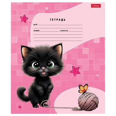 Тетрадь  18л линия "Черный котик" (091440) Хатбер