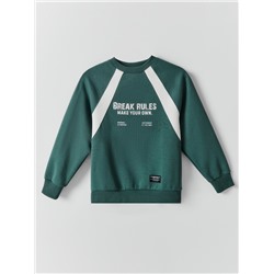 СВИТШОТ ДЛЯ МАЛЬЧИКОВ 123500