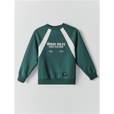 СВИТШОТ ДЛЯ МАЛЬЧИКОВ 123500