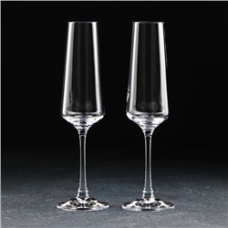 Набор бокалов для шампанского Corvus, 160 мл, 2 шт., стекло, прозрачный