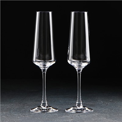 Набор бокалов для шампанского Corvus, 160 мл, 2 шт., стекло, прозрачный