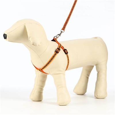 Комплект светоотражающий «Косточки», ошейник 120×1 см, ОШ 24-40 см, ОГ 24-40 см оранжевый