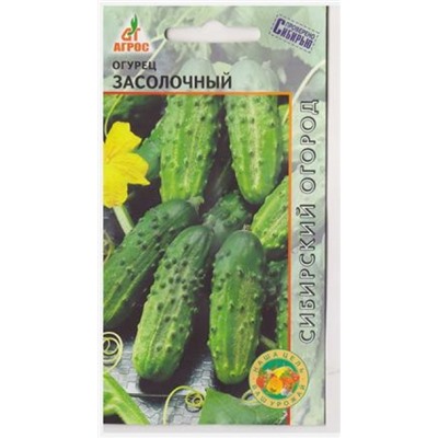 Огурец Засолочный (Код: 81062)