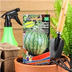 Семена Арбуз «Самый Первый», ультраскороспелый, 3-4 кг, 10 шт., «Уральский Дачник»