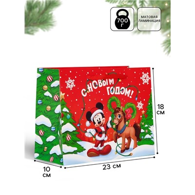Пакет подарочный «С Новым годом!», MS 23×18×10 см