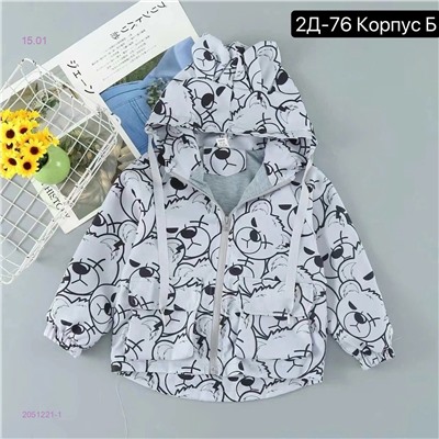 ветровка 2051221-1