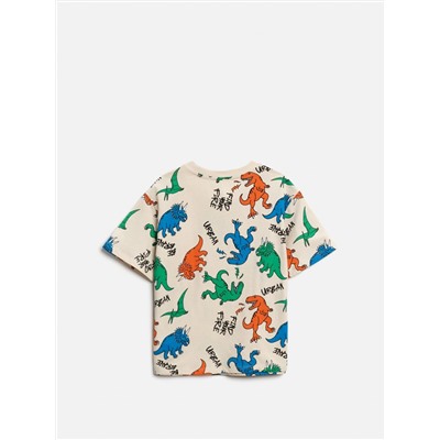 Acoola Футболка 20120510247