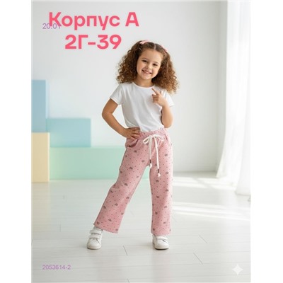штаны 2053614-2