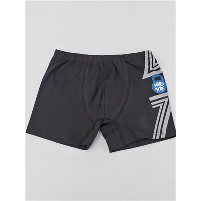 395099 (Трусы для мальчика боксеры, Baykar )