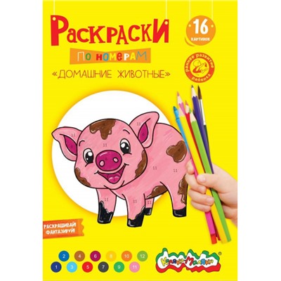 Раскраска по номерам А4 8л "Домашние животные" РНКМ16-ДЖ Каляка-Маляка