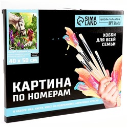 Картина по номерам на холсте с подрамником «Лошадка и девочка в поле», 40×50 см