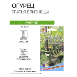 Семена Огурец "Братья близнецы", 10 шт