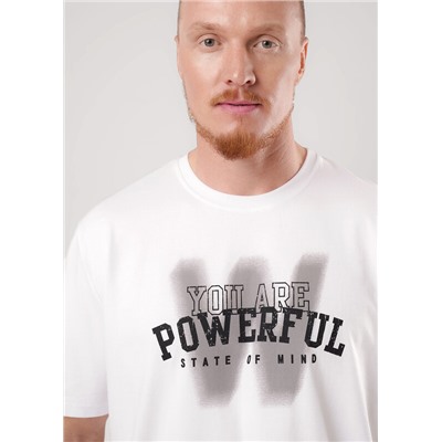 Футболка мужская