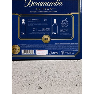 Подарочный набор «Богатства»: гель для душа, шампунь для волос, мочалка для тела, Чистое счастье
