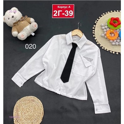 рубашка 1980527-2