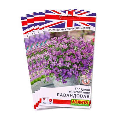 Набор семян Гвоздика многолетняя лавандовая, 5 шт.