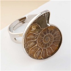 Кольцо арт. 22 7608 (id 279284)