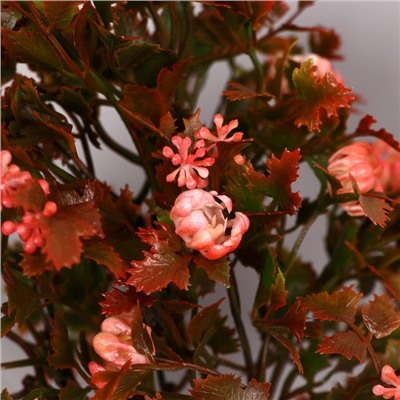 Бонсай искусственный в горшке «Деревце очарованье», 10×22 см, МИКС