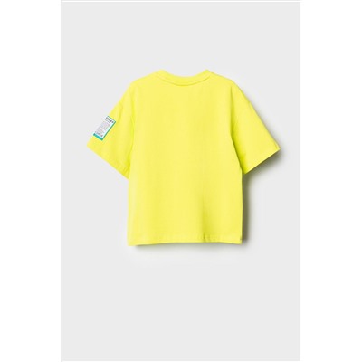 Фуфайка трикотажная для мальчиков (футболка) PLAYTODAY, 1239603