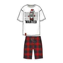 Комплект для мужчин: фуфайка (футболка) трикотажная, шорты текстильные