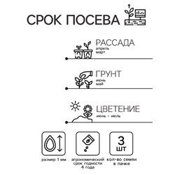 Семена Кальцеолярия "Дэинти", ц/п,  F1, 3 шт