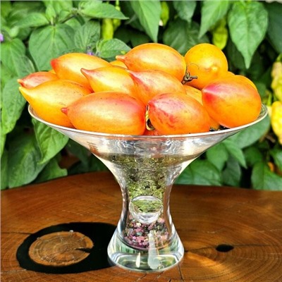 7130T Томат Сказочная магия 10шт