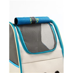 Рюкзак для переноски кошек и собак, прозрачный, 32×28×38 см, бело-синий