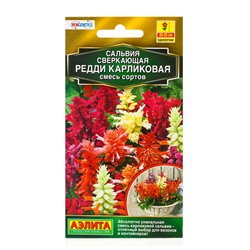 Семена цветов Сальвия Редди карликовая, смесь сортов  С. Hem Genetics Золотая серия, Ц/П,7 шт. 10945