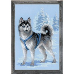 Набор для вышивания Риолис 1626 Хаски, 26*38 см