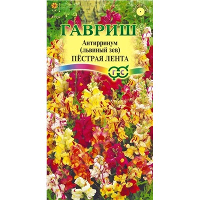 Львиный зев Пестрая лента (Гавр)